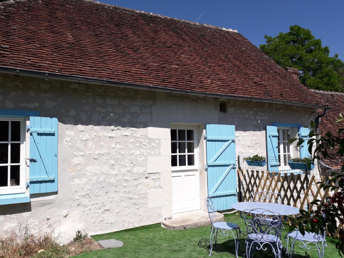 Le Moulin Bleu Bed & Breakfast Seigy Bagian luar foto