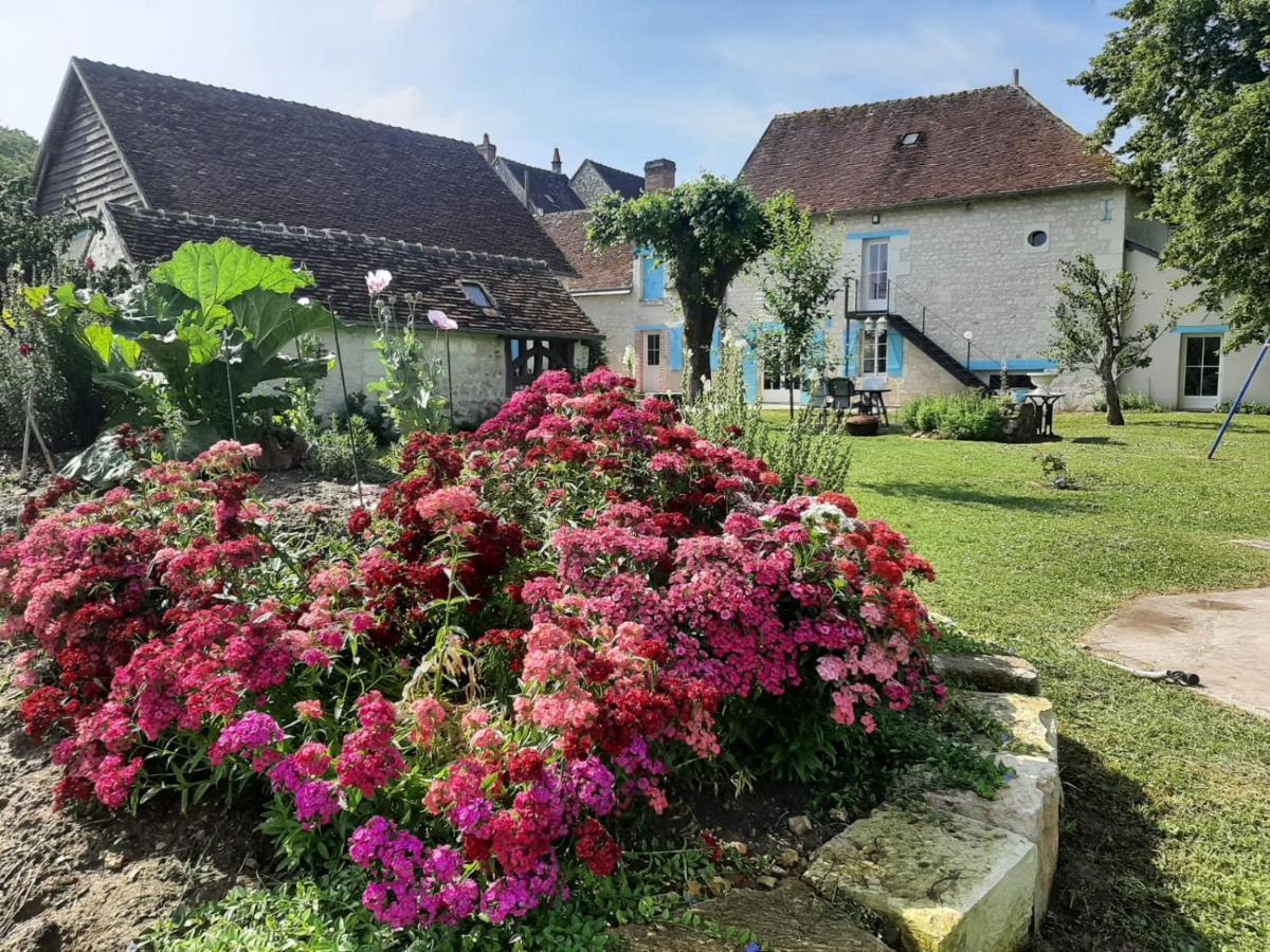 Le Moulin Bleu Bed & Breakfast Seigy Bagian luar foto