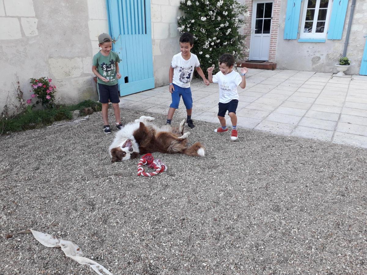 Le Moulin Bleu Bed & Breakfast Seigy Bagian luar foto